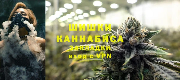 PSILOCYBIN Белоозёрский
