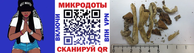Галлюциногенные грибы прущие грибы Зверево