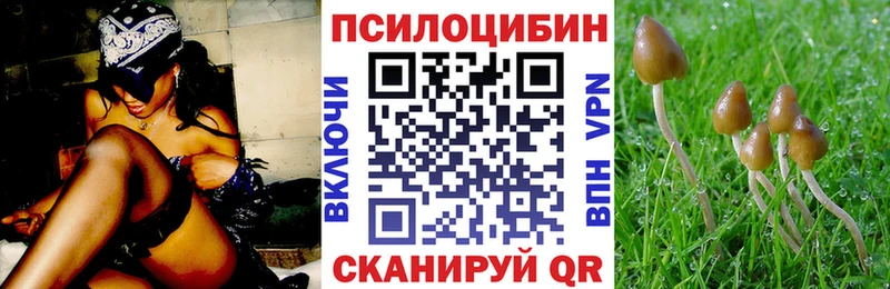 OMG ТОР Зверево Псилоцибиновые грибы Cubensis
